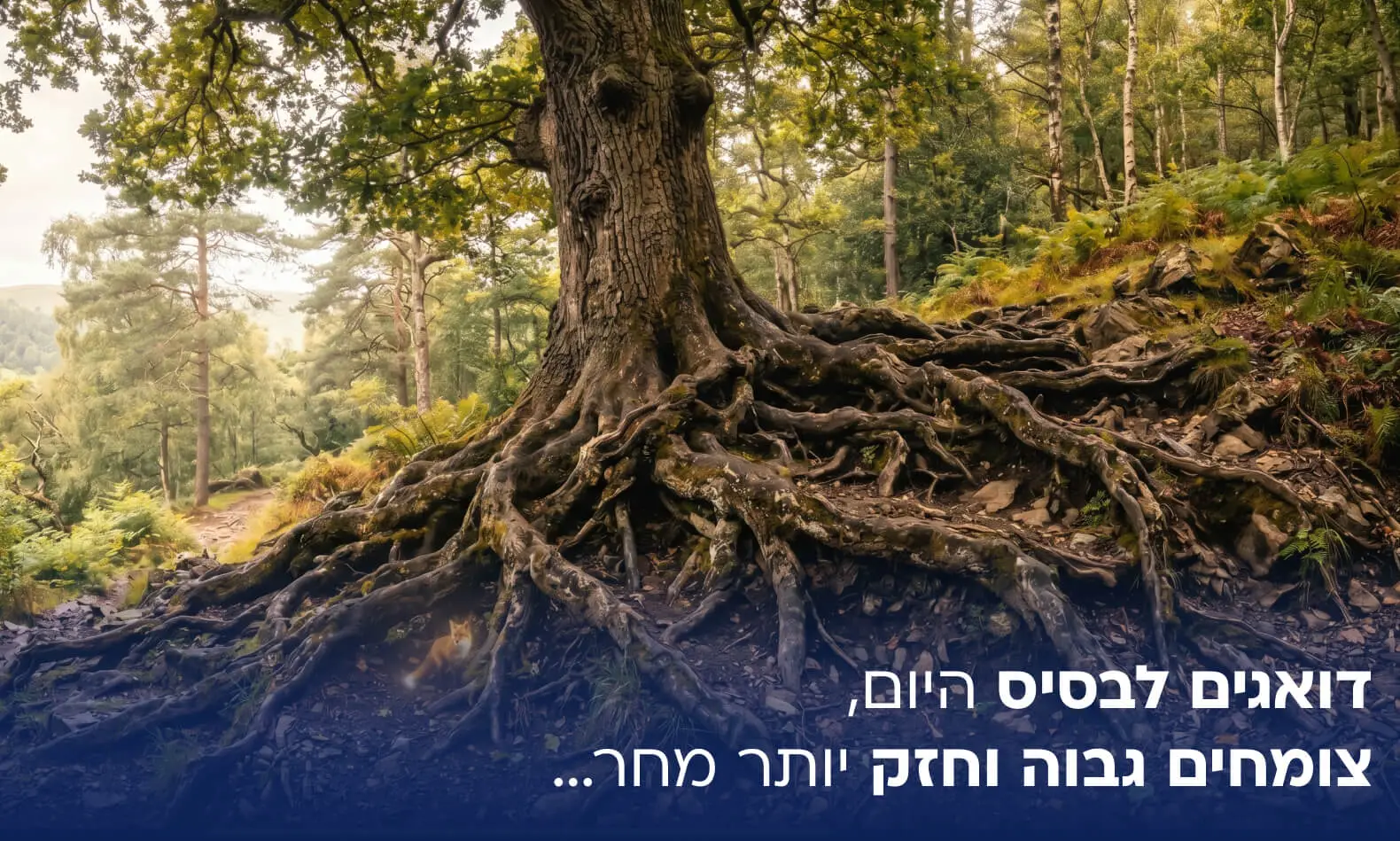 דואגים לבסיס היום,צומחים גבוה וחזק יותר מחר&hellip;